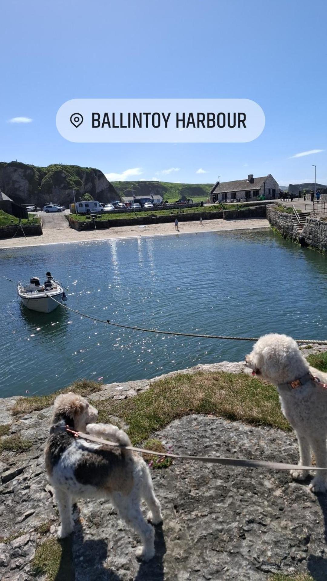 Therapy Lodge Ballycastle Bilik gambar